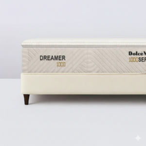 Dreamer1000