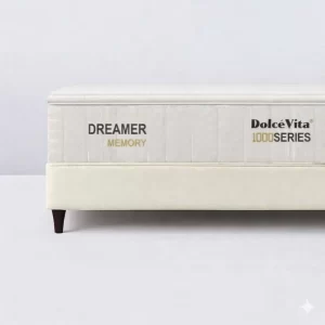 Dreamer Memory